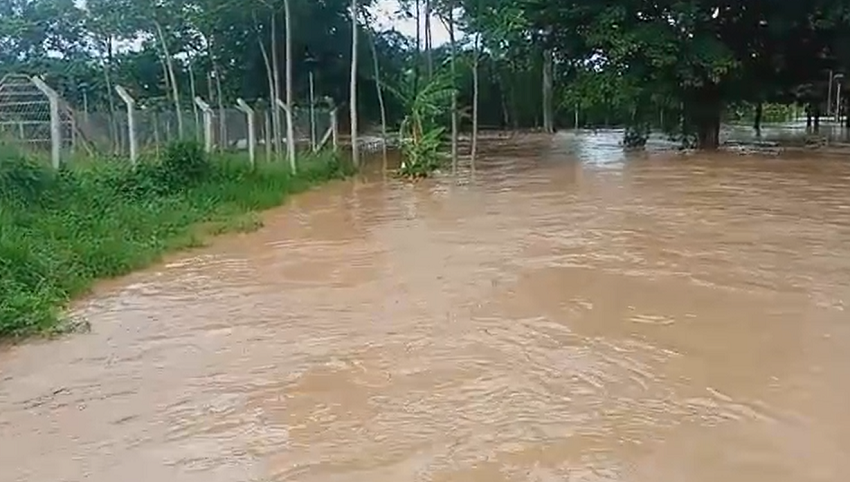 Devastadoras inundaciones en Bolivia dejan al menos 20 muertos