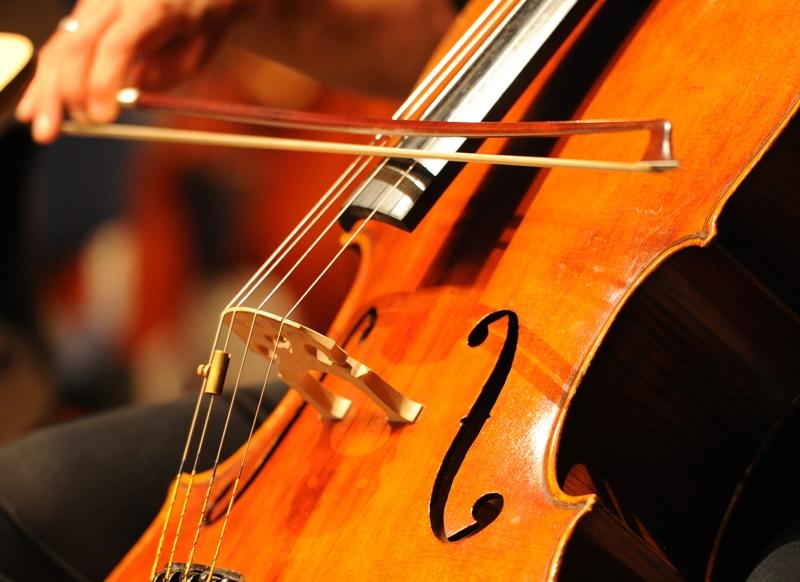 Cómo cuidar un instrumento de música | Urgentebo