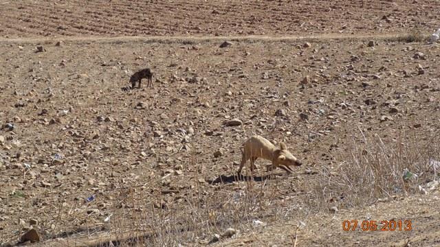 Cochabamba está azotada por la sequía y la escasez de agua | Urgentebo