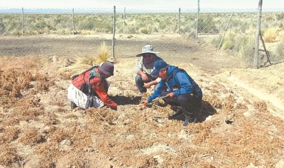 Contiocap advierte que el extractivismo provoca crisis hídrica en ocho departamentos