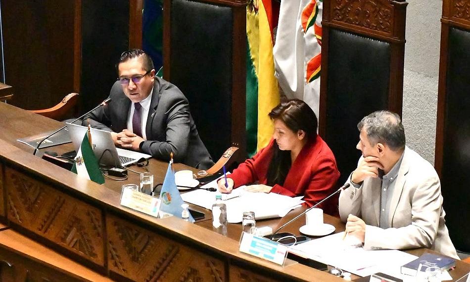 Legislativo aprueba financiamientos del FMI y el BID para estabilizar la economía de Bolivia